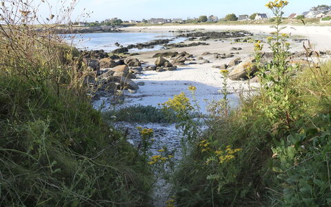 Ty Coz Ar Mor: Body Of Water, Water, Natural Landscape, Water Resources, Vegetation, Bank, Natural Environment, River, Nature Reserve, Watercourse