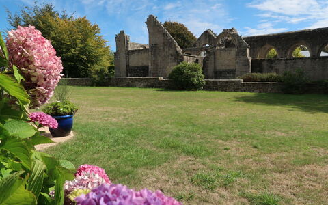 Pont L'Abbé 608: Flower, Plant, Sky, Cloud, Building, Property, Green, Nature, Tree, Natural Landscape