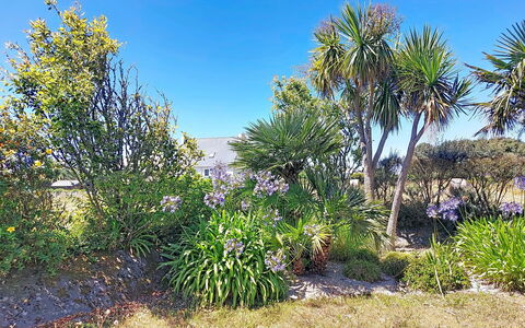Ker Laouen: Vegetation, Shrub, Plant Community, Flowering Plant, Garden, Woody Plant, Shrubland, Botanical Garden