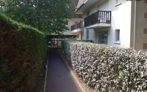 Jardins du Casino: Wall, Shrub, Groundcover, Hedge, Spring, Garden, Yard, Landscaping, Backyard, Fence