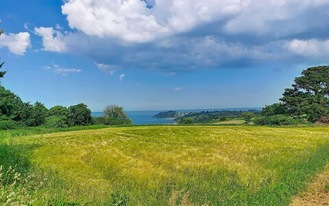 La Belle Vue: Blue, Sky, Green, Cloud, Grass, Natural Landscape, Grassland, Vegetation, Horizon, Ecoregion