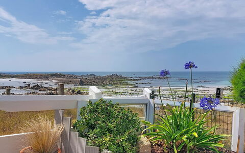 Ti an Aod: Blue, Sea, Coast, Ocean, Garden, Shore, Landscaping, Flowerpot, Houseplant