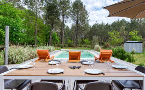 Nico: Table, Furniture, Plant, Property, Tableware, Chair, Nature, Outdoor Table, Outdoor Furniture, Sky