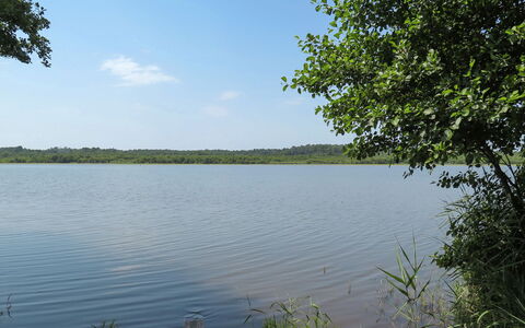 Sowell Family Pignada Plage: Water Resources, Blue, Water, Body Of Water, Green, Natural Environment, Natural Landscape, Waterway, Bank, Watercourse