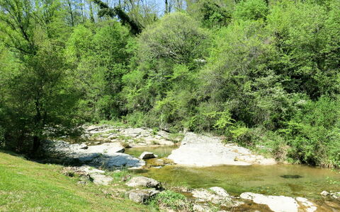 Le Moulin: Water Resources, Water, Plant, Tree, Natural Landscape, Sky, Vegetation, Watercourse, Biome