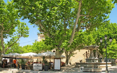Maussane Les Alpilles 614