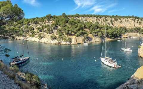 Six Fours 617: Water, Cloud, Sky, Boat, Plant, Watercraft, Water Resources, Daytime, Vehicle, Azure