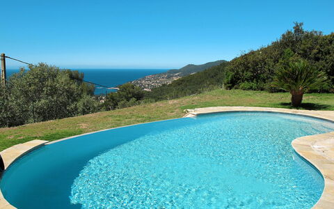 Jaune: Swimming Pool, Property, Azure, Water Resources, Water, Real Estate, Vacation, Leisure, Estate, House