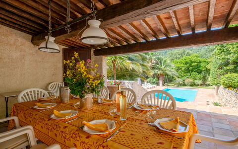 L'Oliverede: Table, Furniture, Plant, Property, Tableware, Chair, Interior Design, Outdoor Furniture, Flowerpot, Houseplant