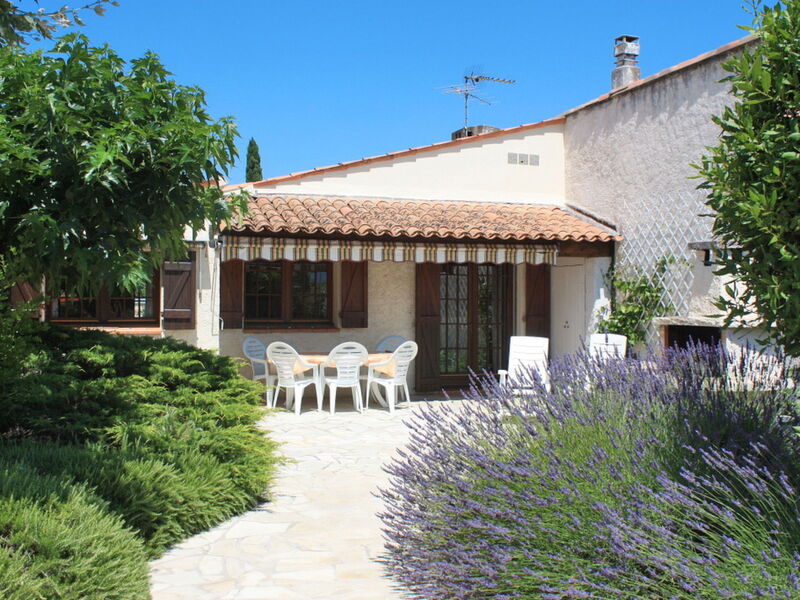 Les Pins Parasols (Rsa110)