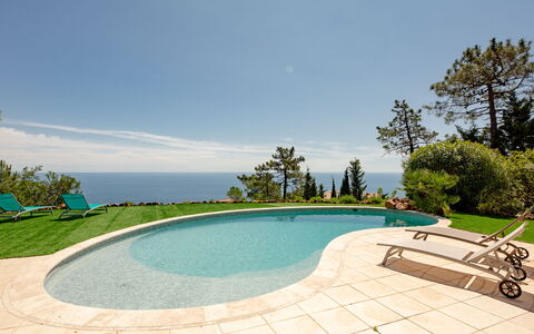 Ponderosa: Water, Sky, Property, Swimming Pool, Cloud, Azure, Plant, Tree, Outdoor Furniture, Building