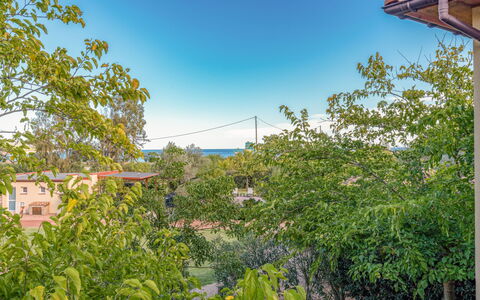 Favone 603: Water, Plant, Property, Building, Swimming Pool, Sky, Azure, Green, Nature, Tree