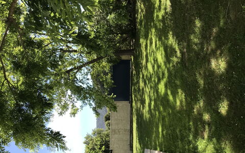 Casa Antoinette: Building, Plant, Green, Natural Landscape, Wood, Branch, Trunk, Sunlight, Vegetation, Shade