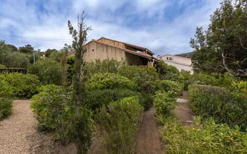 La Baraka: Vegetation, Shrub, Landscape, Plant Community, Rural Area, Land Lot, Garden, Groundcover, Cottage