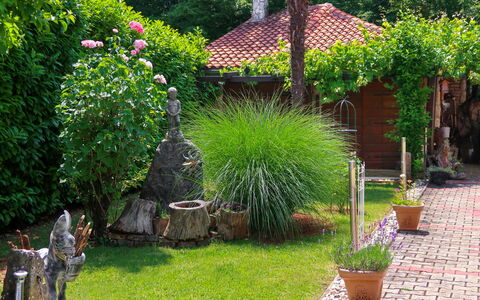 Blekic: Garden, Yard, Property, Grass, Backyard, Plant, Shrub, Grass Family, Lawn, Tree