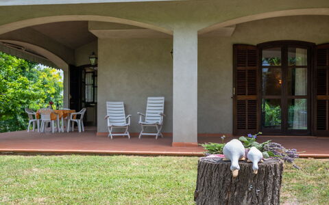 Culla di Stelle: Plant, Property, Building, Shade, Window, Chair, Grass, Wood, Outdoor Furniture, Landscape