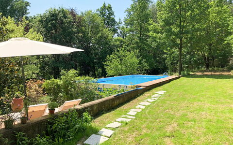 Giorgio Winery: Property, Natural Landscape, Grass, Garden, Backyard, Yard, Lawn, Real Estate, Tree, House