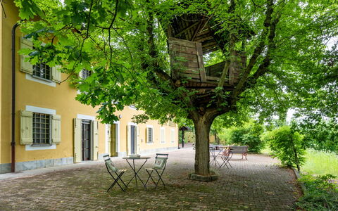 Giorgio Winery: Building, Plant, Window, Leaf, Tree, Branch, Street Light, Grass, House, Shade