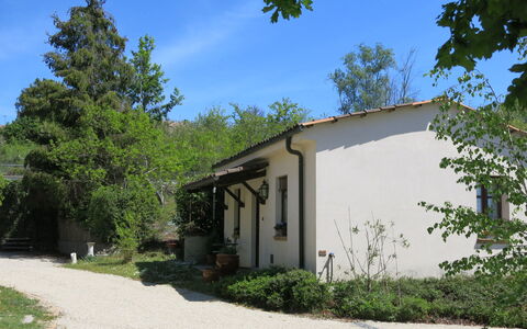 I Grilli: Plant, Property, Building, Natural Landscape, Tree, Land Lot, House, Cottage, Landscape, Residential Area