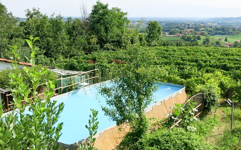 Carroccio Giallo: Water, Plant, Sky, Natural Landscape, Land Lot, Vegetation, Tree, Watercourse