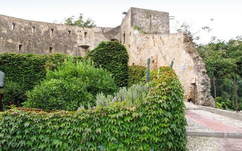 Ernestina: Wall, Fortification, Vegetation, Castle, Ruins, Building, Grass, Tree, Plant, History