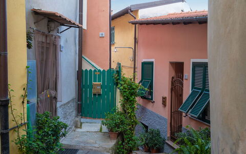 Ernestina: Plant, Property, Azure, Building, Sky, Biome, Neighbourhood, Urban Design, Road Surface