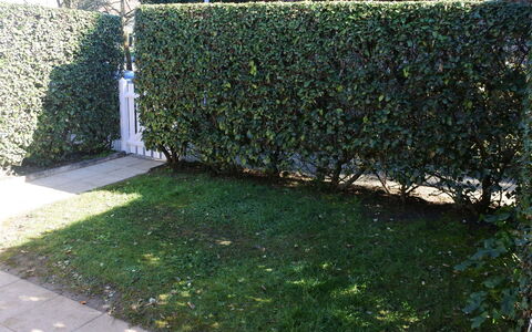 Rivages D'Olonne: Hedge, Shrub, Tree, Grass, Green, Property, Thuya, Plant, Woody Plant, Leaf