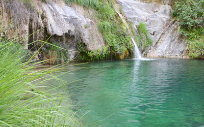 Limone