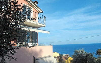 Ulivi sul Mare