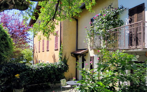Nicol: Plant, Property, Shrub, Garden, House, Real Estate, Building, Purple, Residential Area