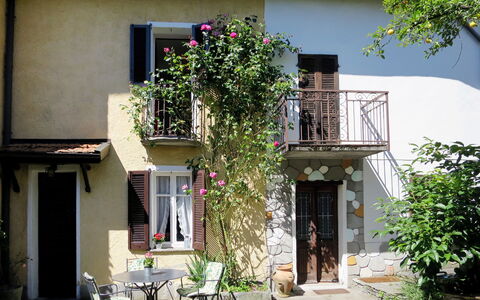Nicol: Flower, Plant, Property, Building, Window, Green, Door, Flowerpot, House, Neighbourhood