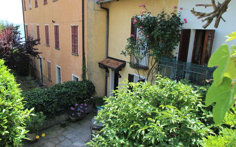 Nicol: Plant, Building, Property, Window, Green, Light, Azure, Lighting, Vegetation