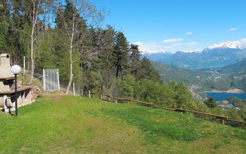 Pineta: Property, Mountain, Mountainous Landforms, Wilderness, Real Estate, Tree, Sky, Mountain Range, Grass, Land Lot