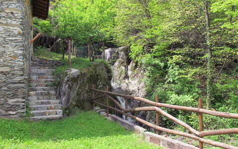 Bragna: Vegetation, Green, Tree, Nature Reserve, Wall, Grass, Leaf, Plant, Rural Area, Forest
