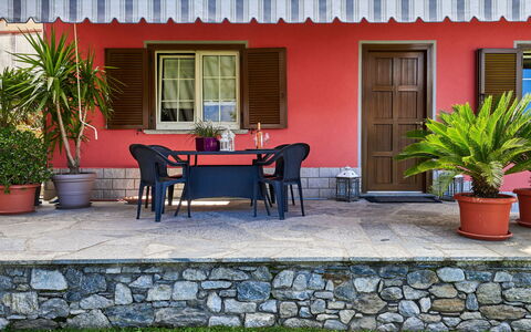 Casa Martina: Plant, Building, Window, Property, Flowerpot, Chair, Table, Houseplant, Interior Design, House
