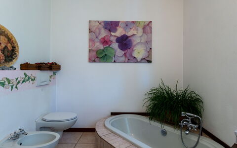 Candida: Plant, Plumbing Fixture, Property, Tap, Bathtub, Product, Purple, Azure, Building, Bathroom