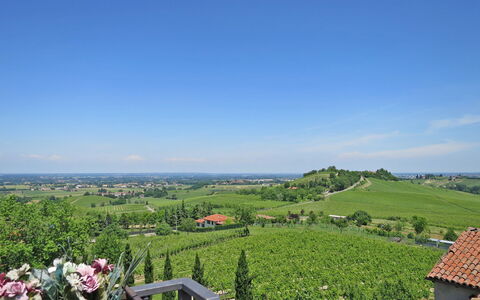 Ca' Del Vento: Sky, Plant, Plant Community, Ecoregion, Cloud, Natural Landscape, Flower, Land Lot, Vegetation, Tree