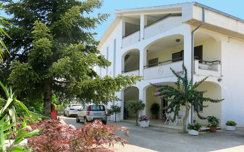 Dolce Vita: Property, House, Building, Real Estate, Home, Architecture, Residential Area, Botany, Tree, Neighbourhood