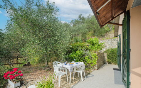 Zia Maria: Plant, Sky, Cloud, Property, Table, Chair, Shade, Tree, Grass, Flowerpot
