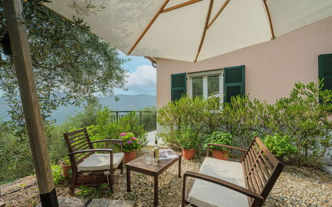Zia Maria: Plant, Furniture, Property, Building, Window, Shade, Outdoor Furniture, Interior Design, Chair, Wood