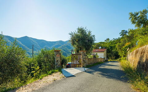 Casa Nueva: Sky, Plant, Azure, Road Surface, Asphalt, Land Lot, Natural Landscape, Slope, Tree, Mountain
