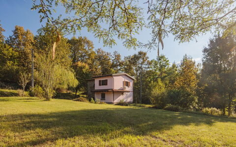 Grande Quercia: Plant, Sky, Building, Window, House, Natural Landscape, Tree, Land Lot, Grass, Cottage