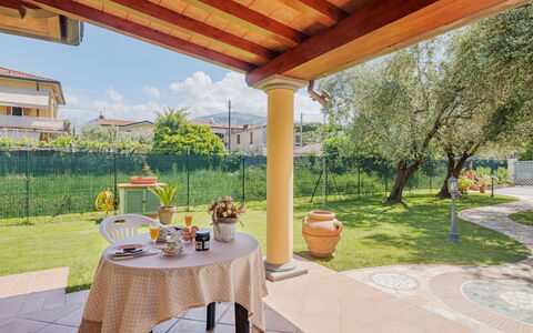 Colli: Plant, Property, Table, Flowerpot, Building, Sky, Tableware, Shade, Interior Design, Tree