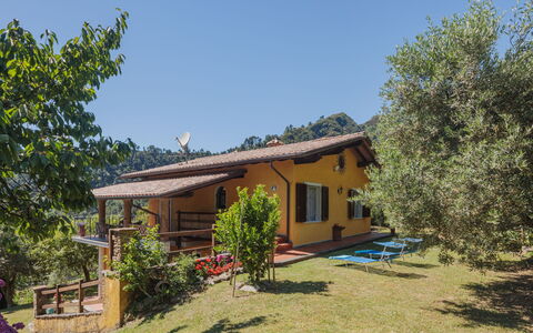 Luca: Plant, Sky, Building, Window, Plant Community, House, Tree, Land Lot, Shade, Natural Landscape