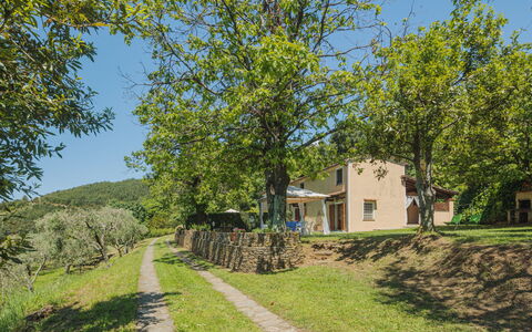 Di Carlino: Plant, Sky, Property, Building, Natural Landscape, Tree, Window, Land Lot, House, Grass