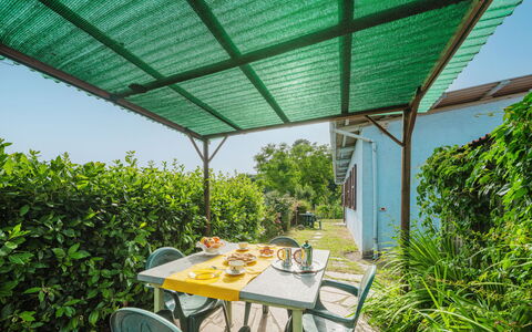 Margherita: Plant, Furniture, Property, Plant Community, Table, Building, Nature, Botany, Shade, Outdoor Furniture