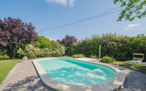 Villa Ulivo: Water, Sky, Plant, Property, Cloud, Swimming Pool, Nature, Botany, Azure, Architecture