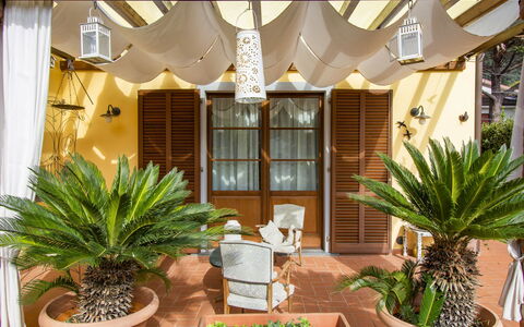 La Rondine: Plant, Property, Window, Building, Flowerpot, Houseplant, Couch, Interior Design, Shade, Wood