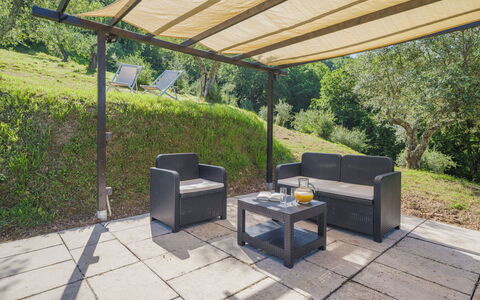 Buratto: Plant, Furniture, Shade, Outdoor Furniture, Interior Design, Table, Tree, Grass, Wall, Building