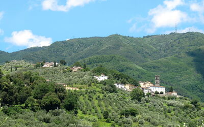 Fontanella